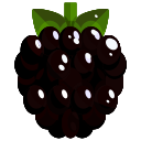 Amora