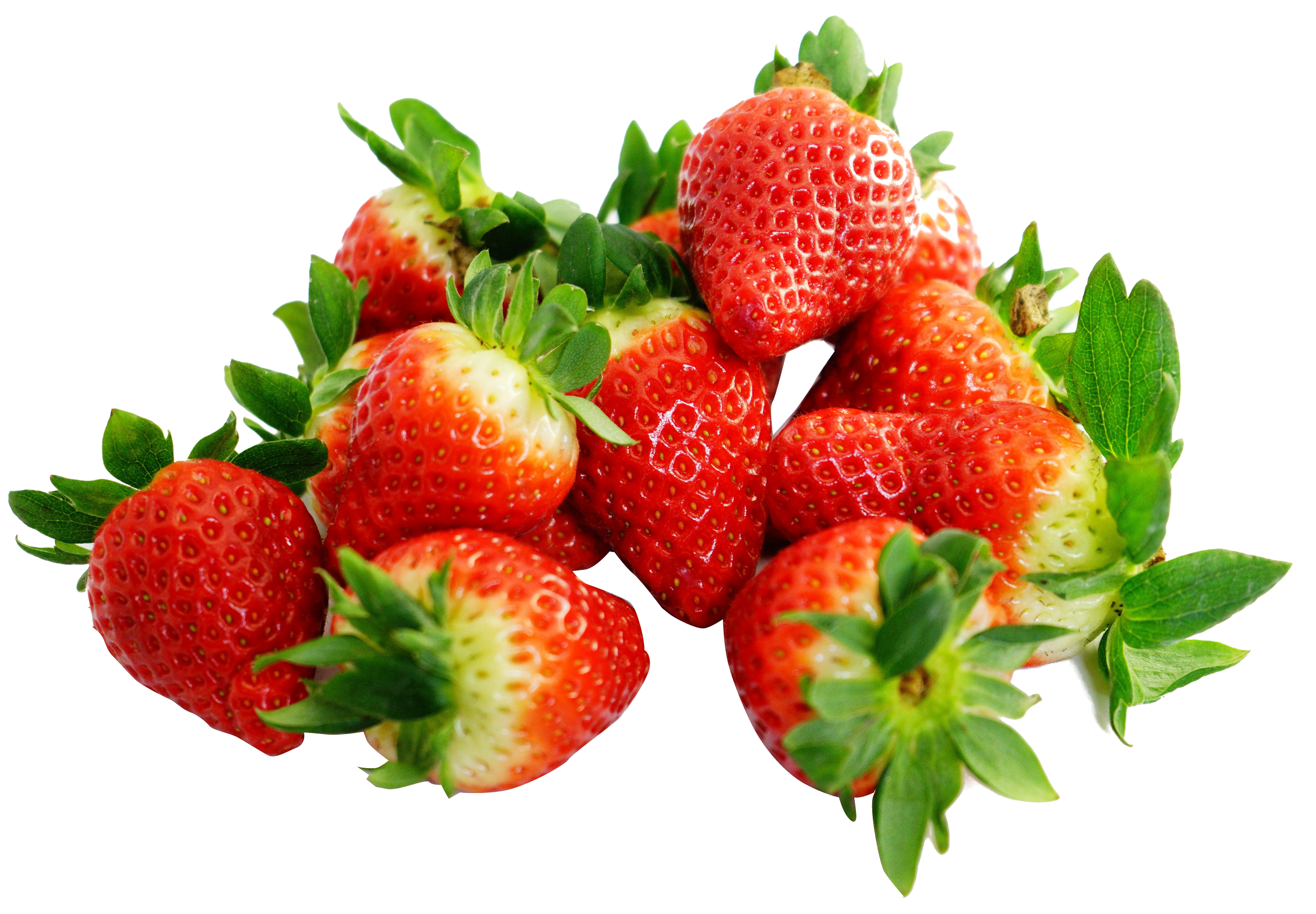 Morango
