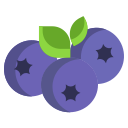 Mirtilo